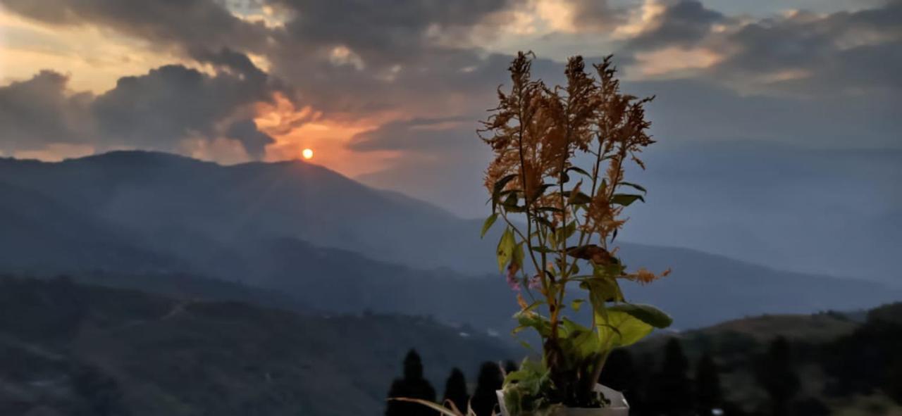 Valley View Homestay Дарджилинг Екстериор снимка