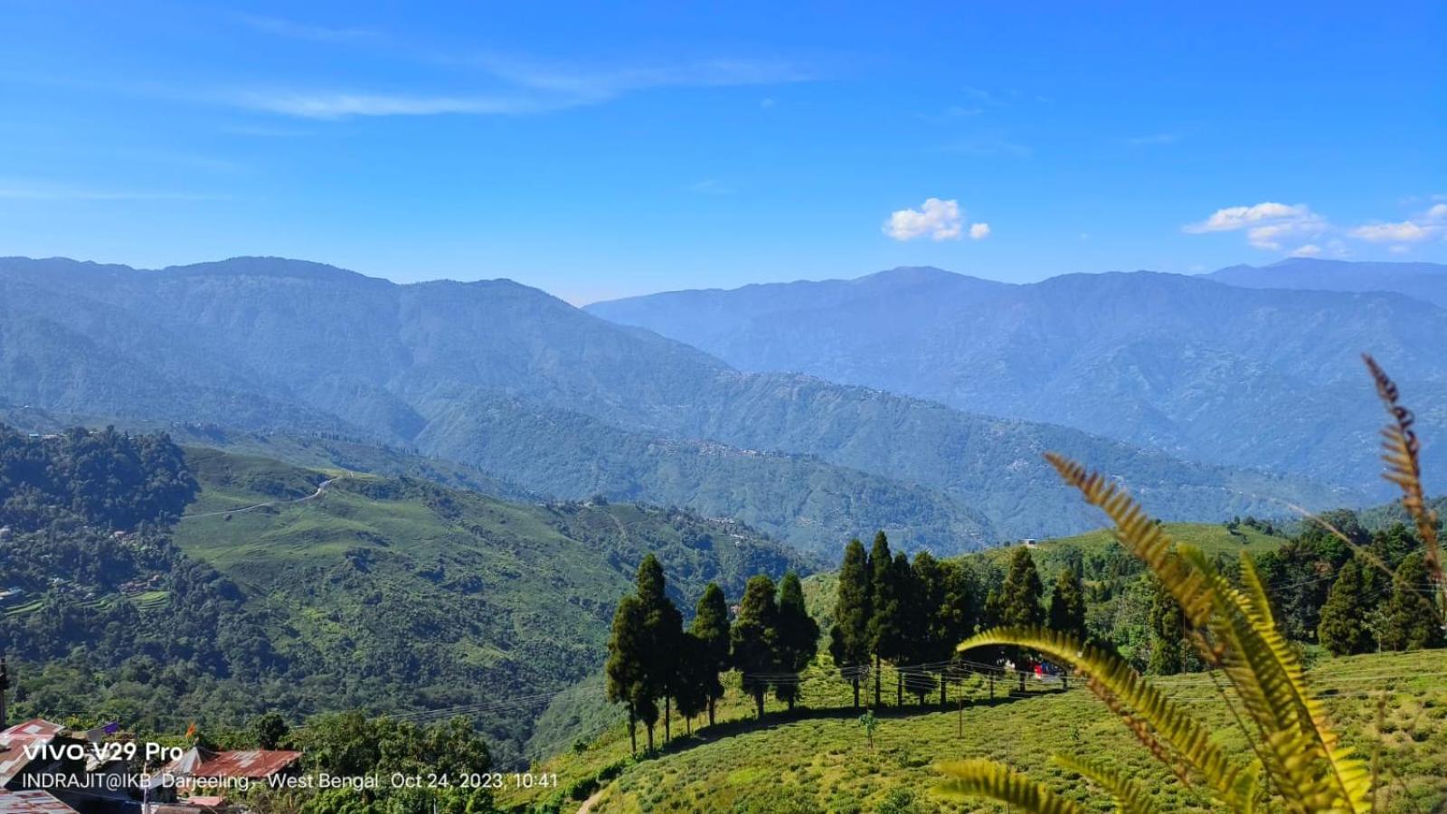 Valley View Homestay Дарджилинг Екстериор снимка