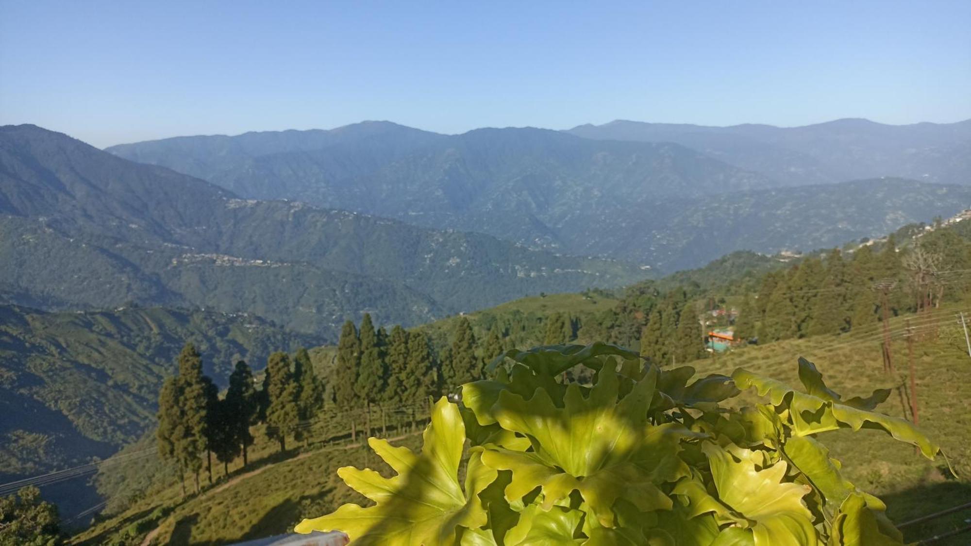 Valley View Homestay Дарджилинг Екстериор снимка